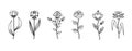 Vector black floral set, black outline line art, sketch flowers isolated on white background, Royalty Free Stock Photo